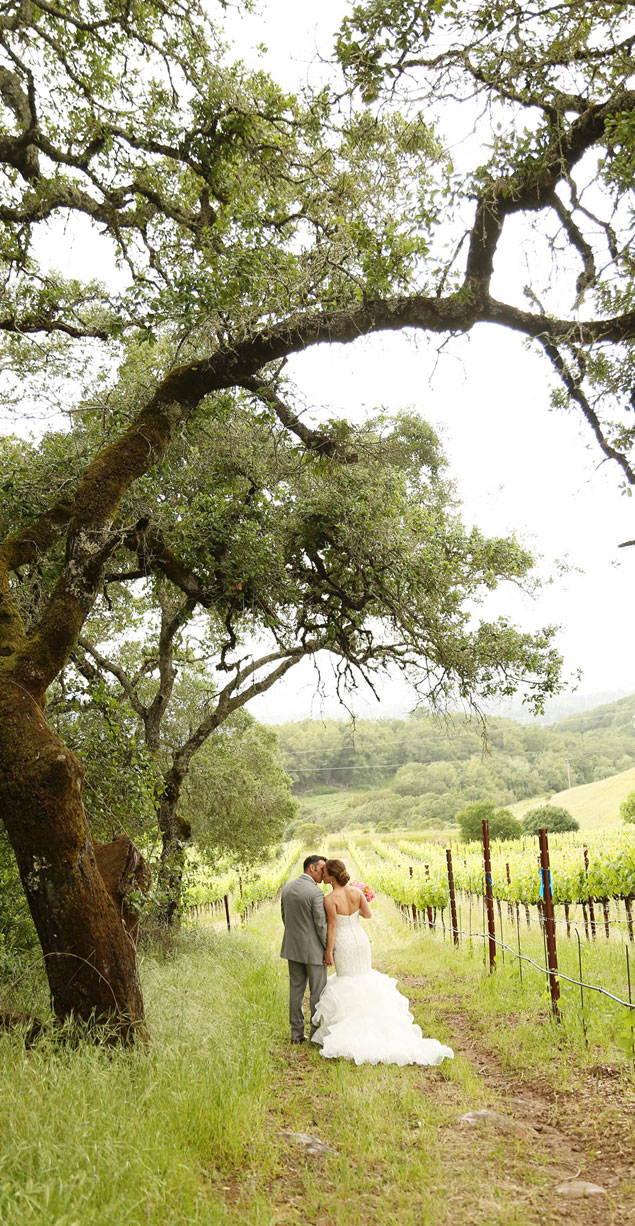 Bride and groom kissing next to an oak tree in the vineyard