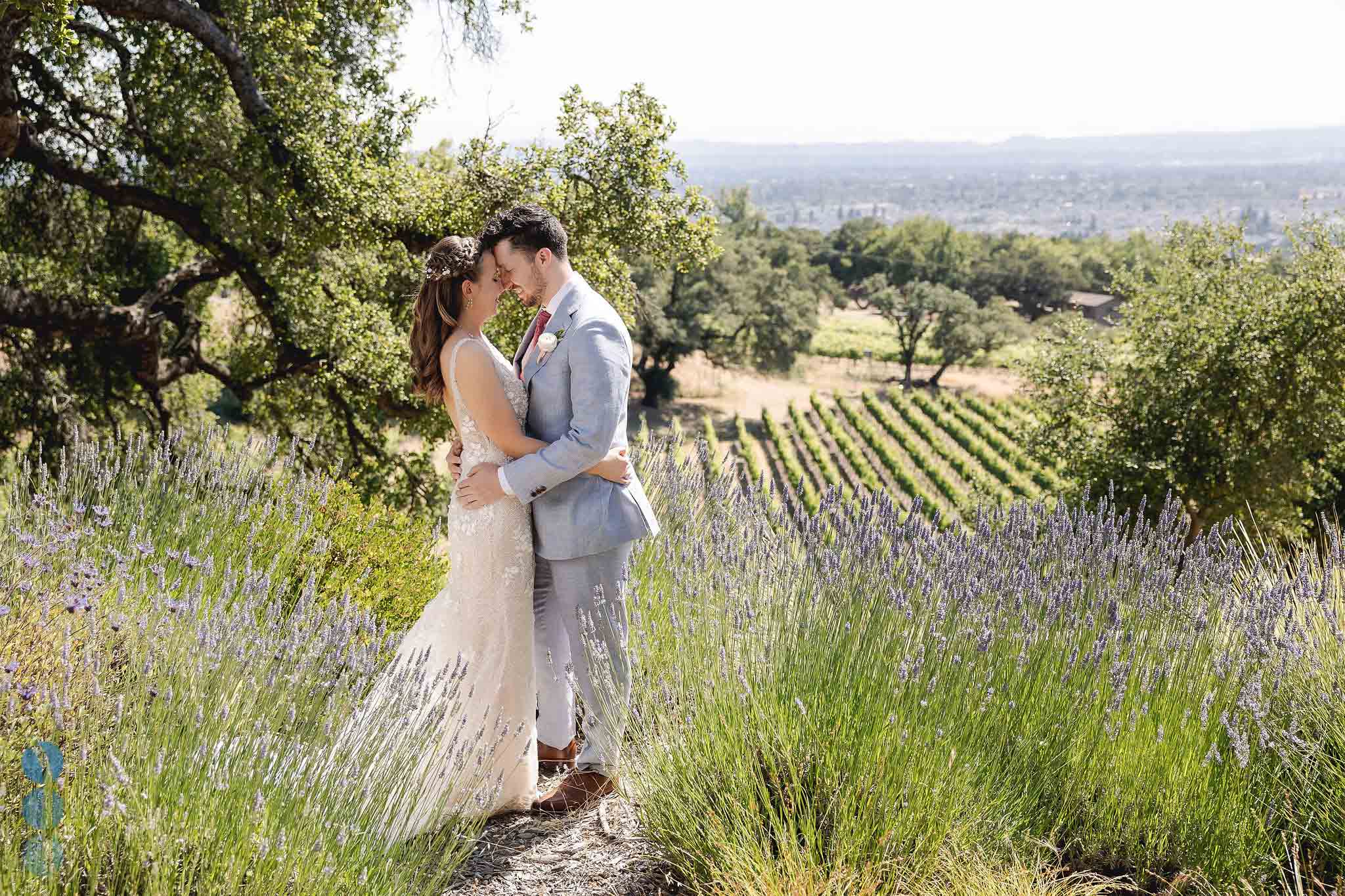 WineCountryWedding1