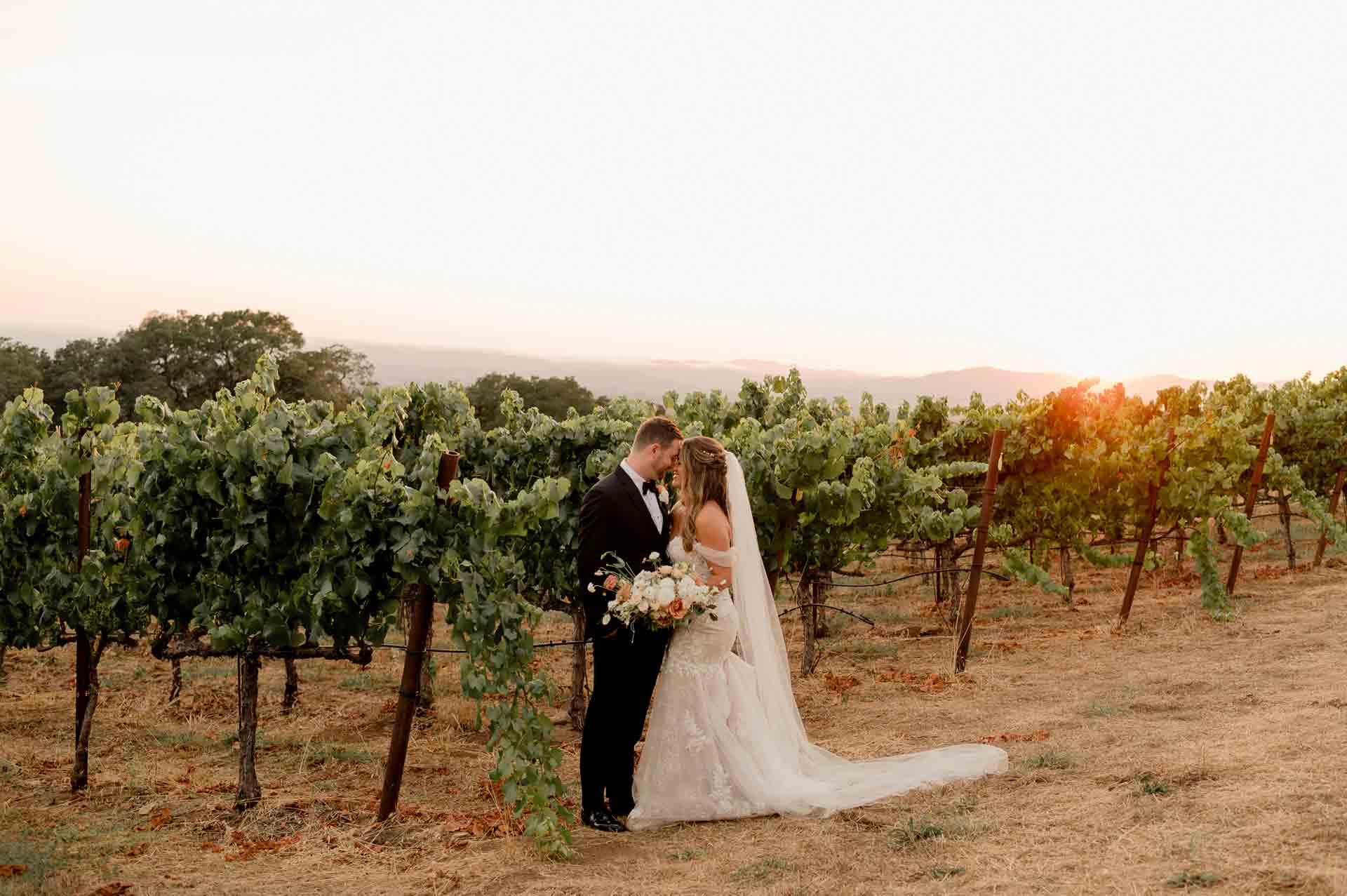 Our estate offers beautiful outdoor vineyard wedding photo locations.