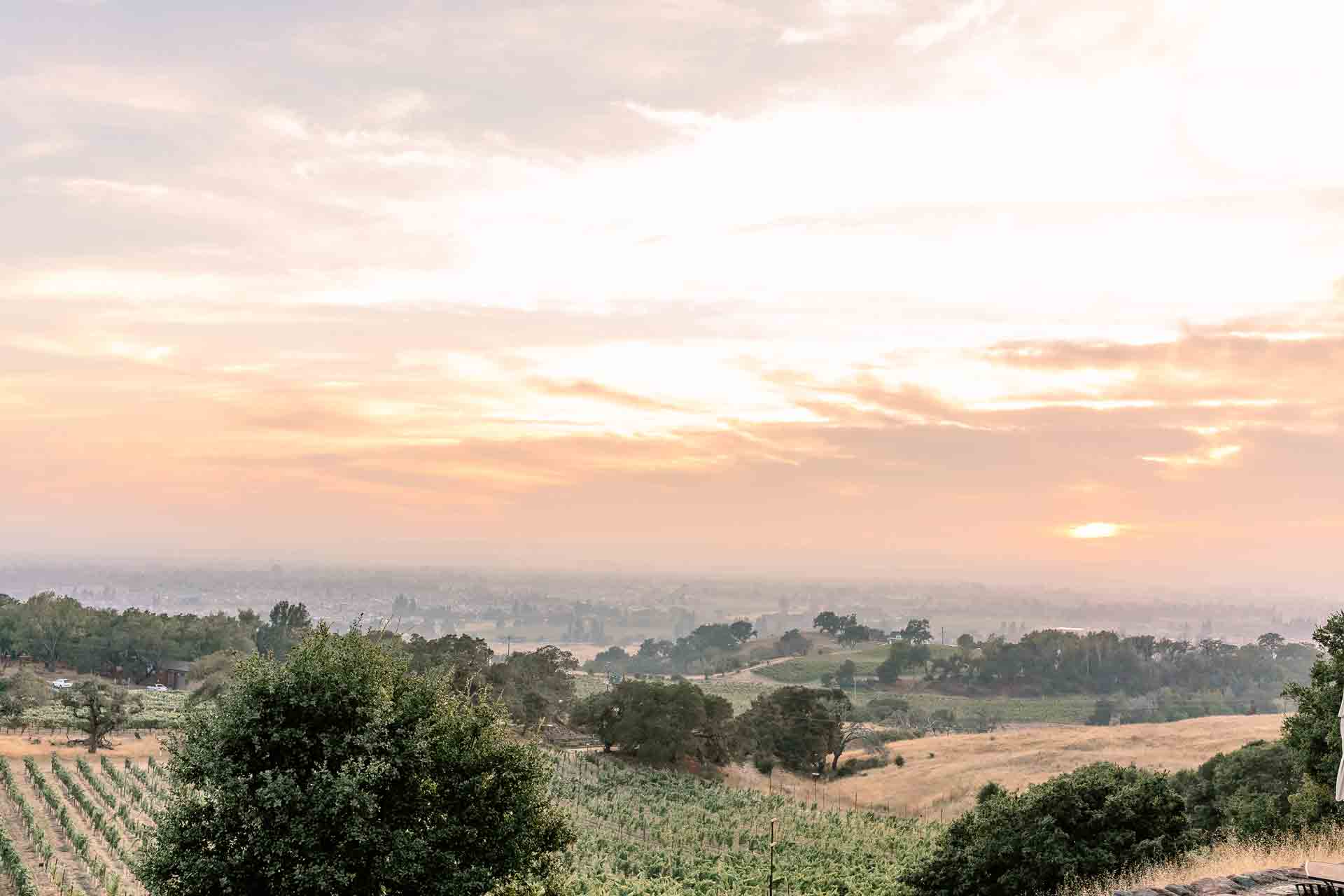 Sunset kissed Sonoma hills.